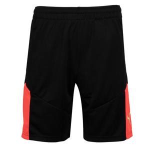 푸마 인디비쥬얼파이널 트레이닝 쇼츠(65804248)