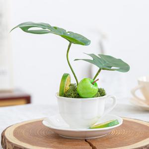 몬스테라 조화 화분 도시정원 커피잔 set 18cm 인테리어 식물 테이블 장식 소품
