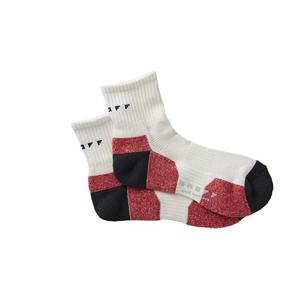 온오프 온오프 2017 모델 남성용 쇼트 크루 삭스 사이즈 프리 YOX0117 화이트 x C 그레이 x 레드 204