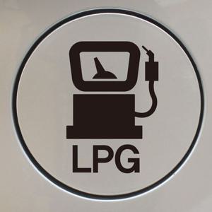 자동차 주유구 차량용 스티커_엘피지