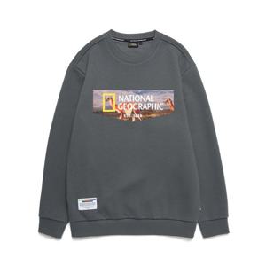 내셔널지오그래픽 N223USW920 폴하스 빅 로고 노기모 맨투맨 티셔츠 BLUE GREY