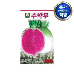 수박무 씨앗 100립 . 과일 빨간 붉은 글루코시 무우 주말 농장 텃밭 씨 종자.