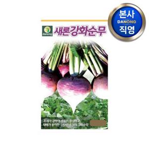 새론 강화순무 씨앗 2000립 . 원예 야채 무우 채소 텃밭 주말 농장 씨 종자.