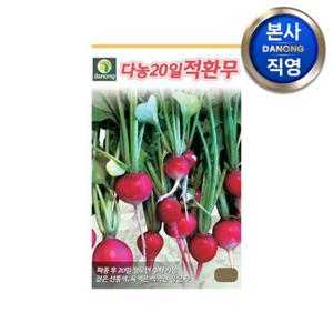 20일 적환무 씨앗 5g . 래디시 래디쉬 빨간 소형무 무우 텃밭 채소 씨 종자.