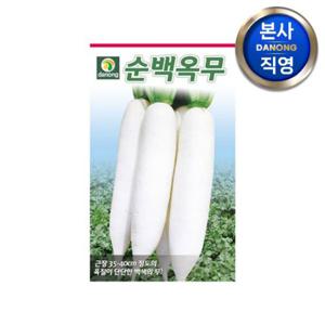순백옥무 씨앗 120g . 단단한 무우 채소 주말 농장 텃밭 재배 씨 종자.