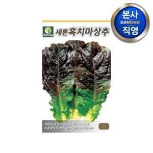 새론 흑치마 상추 씨앗 3g . 야채 채소 텃밭 파종 재배 주말 농장 씨 종자.