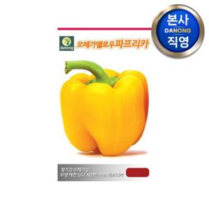 오메가 옐로우 파프리카 씨앗 10립 . 채소 텃밭 재배 주말 농장 파종 씨 종자.
