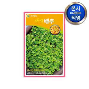 새싹 배추 씨앗 30g . 무소독 채소 수경 재배 씨 종자