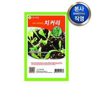 베이비 (샐러드) 치커리 씨앗 30g . 무소독 베란다 텃밭 채소 재배 씨 종자
