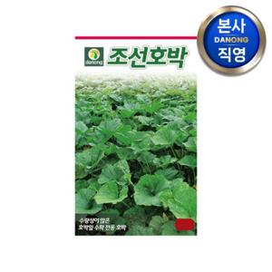 조선 호박 씨앗 30립 . 호박잎 잎전용 과채류 수확 재배 전용 파종 씨 종자.