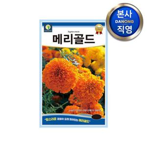아프리칸 메리골드 씨앗 100립 . 천수국 야생화 관상 일년생 예쁜 꽃씨 종자.
