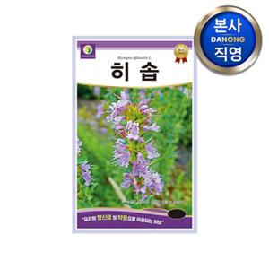히솝 허브씨앗 20g . 신향초 정원 텃밭 화단 허브 식물 심기 꽃씨 종자.
