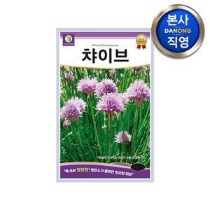 차이브 허브 (채소겸용) 씨앗 1g . 챠이브 정원 텃밭 식물 키우기 꽃씨 종자.