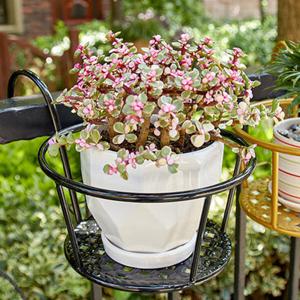 아트박스/에코벨 베란다 원형 철제 화분받침대/거치대