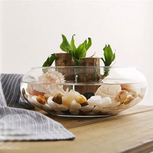 ksr 유리화분 화병 수반 SH143 (어항수반) 21x8cm 어항수반