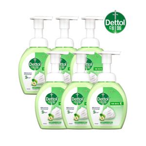 데톨 애플 포밍 핸드워시 250g x6개 손세정제 핸드솝 거품비누