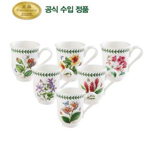 [포트메리온]엑소틱보타닉가든 벨머그 6p(BGE)