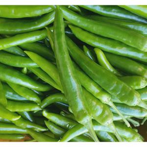 국내산 오이고추 1kg