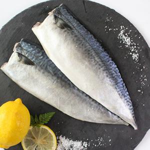 [제주직송] 제주 고등어살 (대) 2kg