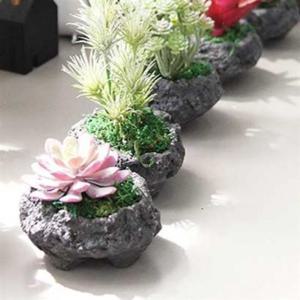 화산송이 선인장 화분 실내 인테리어 디자인 화 인테리어