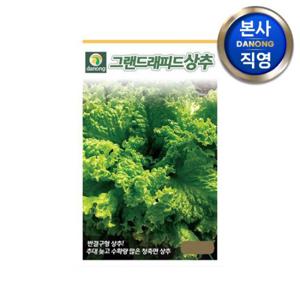 그랜드래피드 상추 씨앗 2000립 . 채소 텃밭 재배 주말 농장 파종 씨 종자.