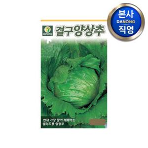 결구 양상추 씨앗 2000립 . 야채 채소 텃밭 파종 재배 주말 농장 씨 종자.