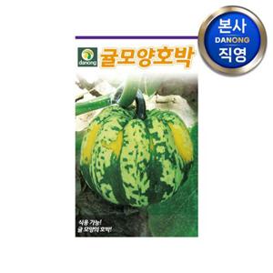 귤모양 호박 씨앗 100립 . 야채 채소 텃밭 파종 재배 주말 농장 씨 종자.