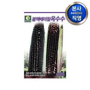블랙베리 찰옥수수 씨앗 70립 . 야채 채소 텃밭 파종 재배 주말 농장 씨 종자.