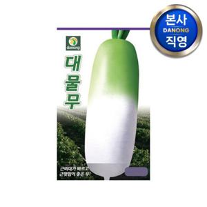 대물무 씨앗 500립 . 야채 채소 텃밭 파종 재배 주말 농장 씨 종자.
