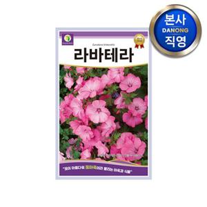 라바테라 연한장미색 씨앗 1g . 로즈말로우 연한장미색 허브 꽃씨 심기 종자.