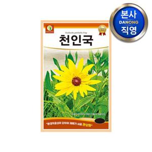 천인국 씨앗 60립 . 조경 정원 화단 꽃밭 관상용 예쁜 야생화 키우기 꽃씨 종자.