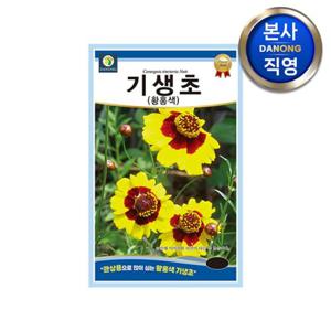 기생초 황홍쌍색 씨앗 200립 . 야생화 조경 화단 관상용 꽃씨 텃밭 키우기 종자.