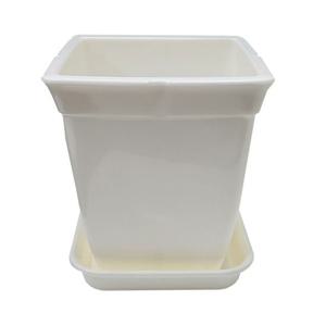 정사각 백색 도자기느낌 플라스틱화분 6호