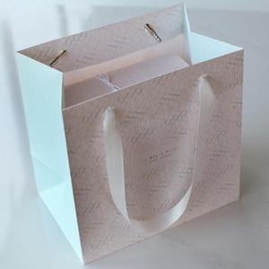 아트박스/디비디 디비디 쇼핑백 - Lucid