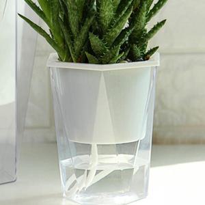 아트박스/제이라이프 클리어 육각 급수 화분 키우기 세트 (중형)