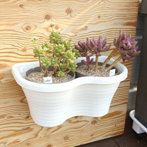 [플라팜] 오아시스 화분 벽걸이형 2구(CN9320)