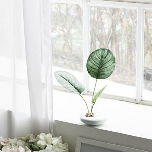 칼라데아 조화 센터피스 수반 화분 set 30cm 인테리어 식물 조경 테이블 장식 소품 꾸미기