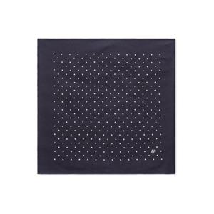 25 FW 돌체앤가바나 폴카 도트 프린트 실크 스카프 GR412EG0JYH TP432367804