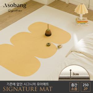 아소방 2P 시그니처 유아 놀이방매트 플로리다 250(250x150x2cm)
