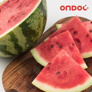 [온도씨] 함안 하우스 꿀 수박 5kg 전후