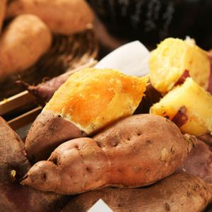 포슬포슬 해남 호박고구마 10kg 못난이