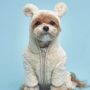 도그아이 곰후드올인원 강아지 겨울옷 애견의류 (DG226)