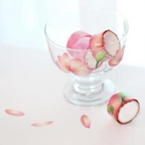 아트박스/모모팝 떼어쓰는 꽃잎 마스킹테이프 8종