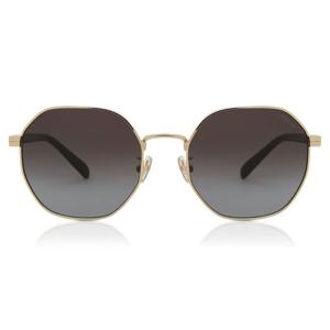 코치 HC7147 CH556 아시안 핏 90058G 여성용 선글라스