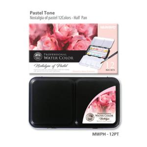 아트박스/아트피스 문교 수채화 고체물감 12색 파스텔