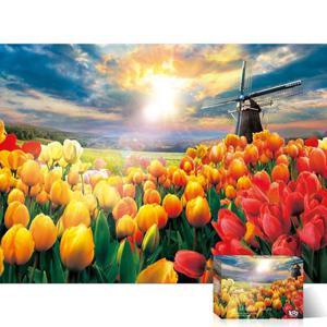 1000피스 직소퍼즐 튤립 들판의 일출 (TPD10-1023)