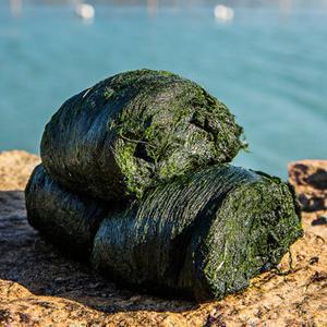 완도맘 완도 매생이 100g x 5팩