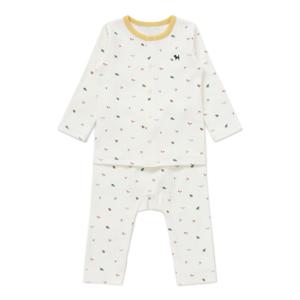 블루독베이비 쁘띠토리내의 45A70-054-06