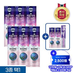 [총 8개][잇몸/구취]죽염 히말라야 핑크솔트바이옴 치약100gx6개+치약100gx2개+칫솔1개