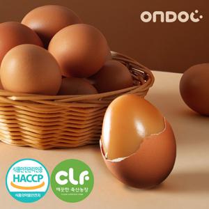 [온도씨] 하루한알 쫄깃한 구운란 두판 30구+30구 총 60구(대란)